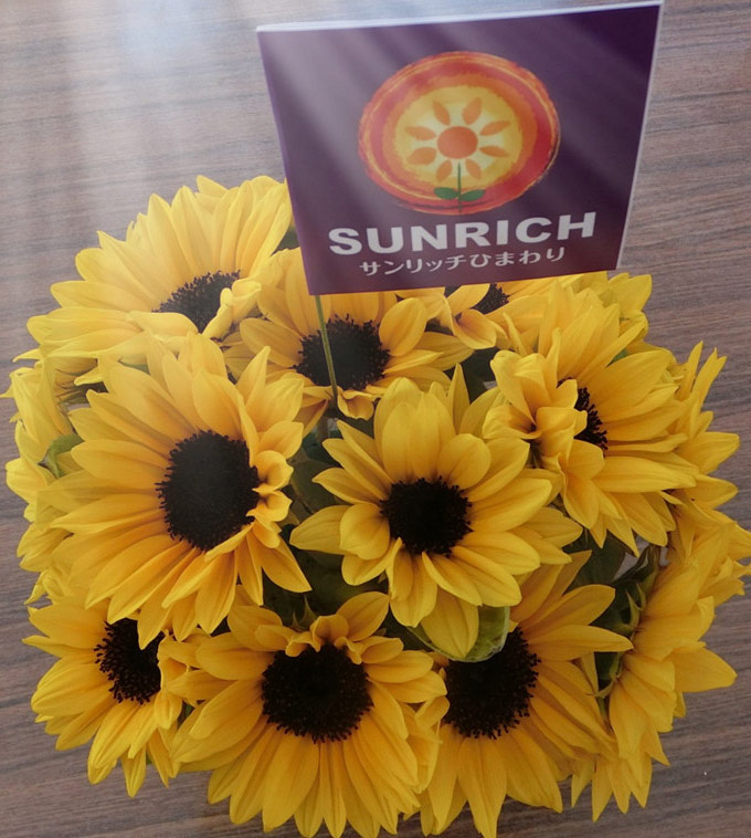 sunrich
